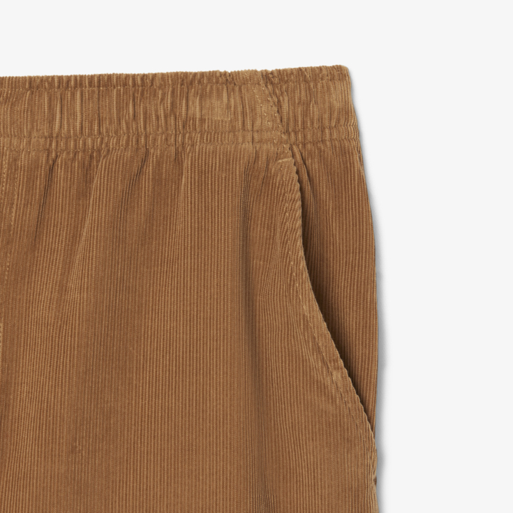 Мужские брюки Lacoste