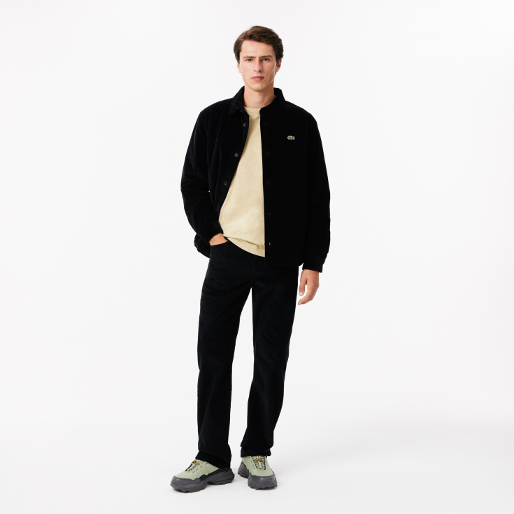 Мужские брюки Lacoste