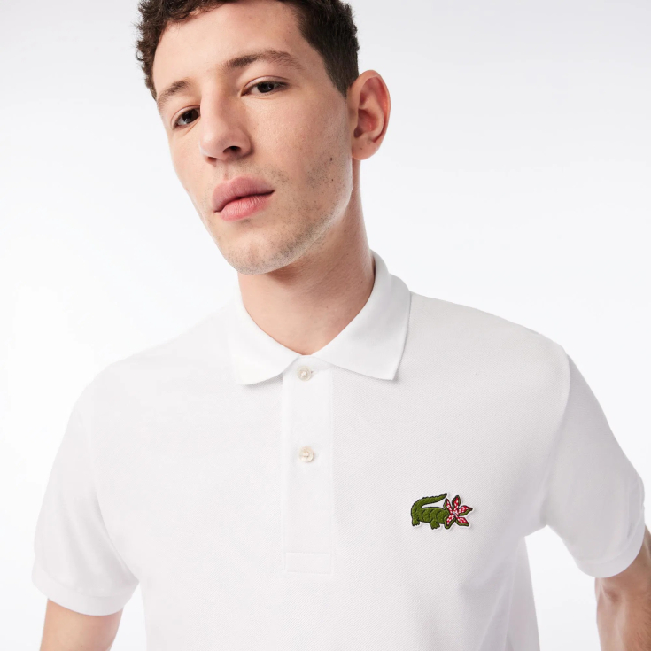 Lacoste kişi polosu