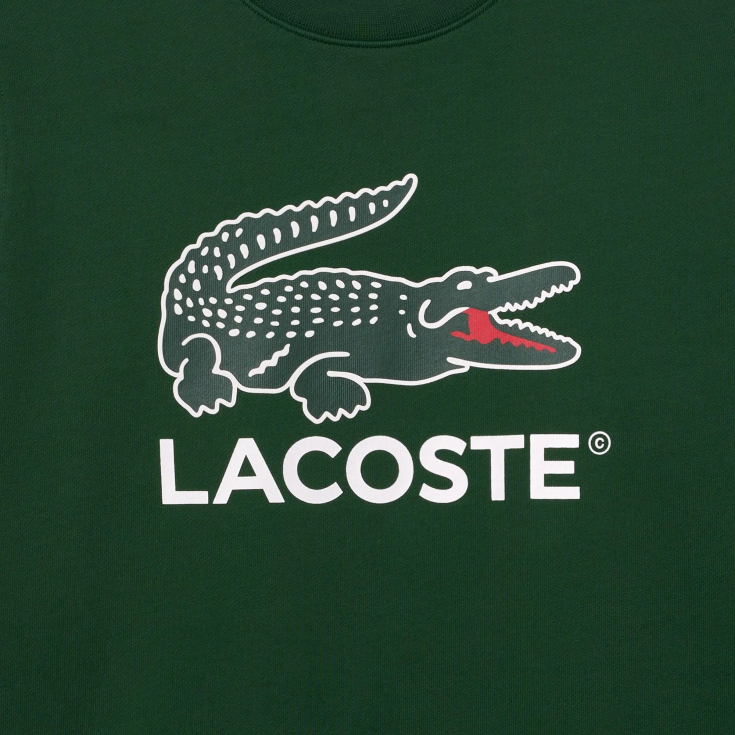 Мужская толстовка Lacoste