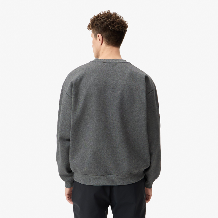 Мужская толстовка Lacoste