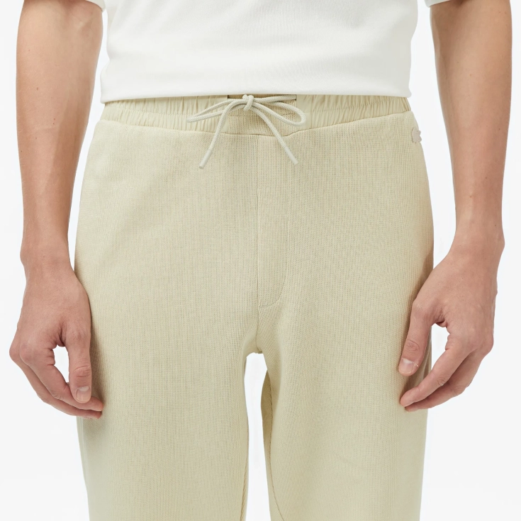 Мужские спортивные штаны Lacoste